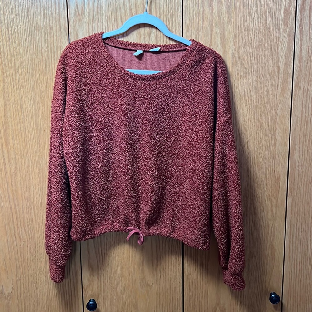 Sky and Sparrow, rust furry cropped sweater, size L
